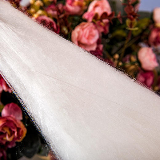 喜得宝 桑蚕长蚕丝被1KG（特殊尺寸可以定制） 商品图1