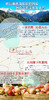 2025新疆阿克苏红旗坡冰糖心苹果8斤装 商品缩略图4