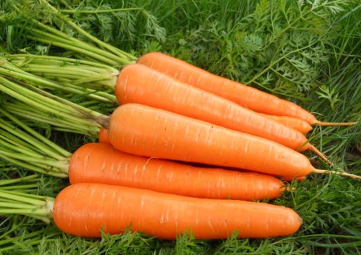 200精选胡萝卜 约400克至600克 商品图0