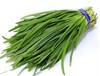 112韭菜约250克 商品缩略图0