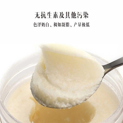 （永久下架）熊猫有礼珍稀紫椴黑蜂雪蜜组合 商品图1