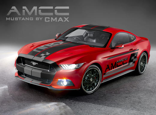 AMCC个人定制设计专属野马拉花（赛道款，有多种颜色选择） 商品图0