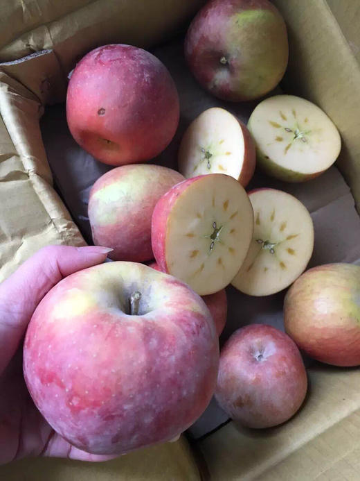 2025新疆阿克苏红旗坡冰糖心苹果8斤装 商品图11