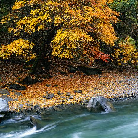 （永久下架）寻访浦江·五彩乡村自驾 商品图1