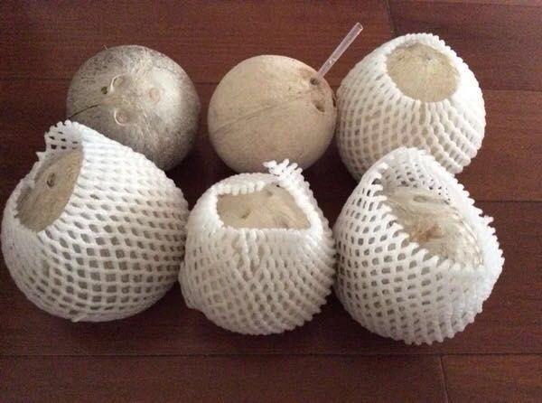 去皮椰子四个装