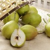 新疆库尔勒 大香梨 一件约12斤 商品缩略图1