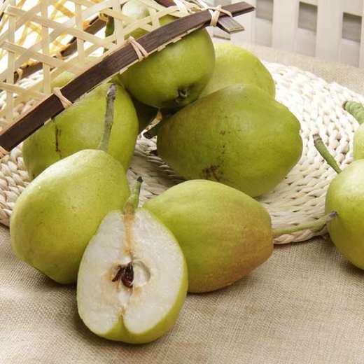 新疆库尔勒 大香梨 一件约12斤 商品图1