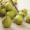 新疆库尔勒 大香梨 一件约12斤 商品缩略图3