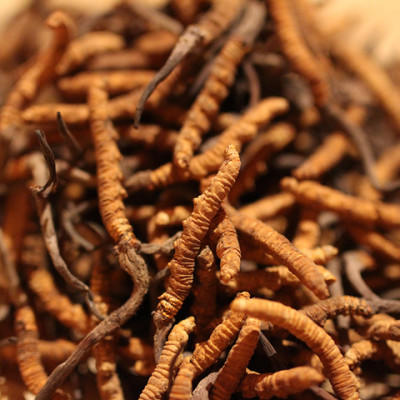 拍电影-69折清仓-10克自采冬虫夏草 商品图0