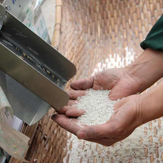 稻花香 浓浓的米香 东北大米 5斤 2份包邮