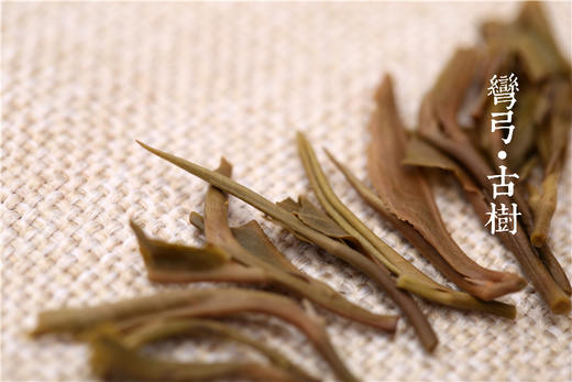 冠绝易武 私藏弯弓丨弯弓·古树（2015） 商品图13