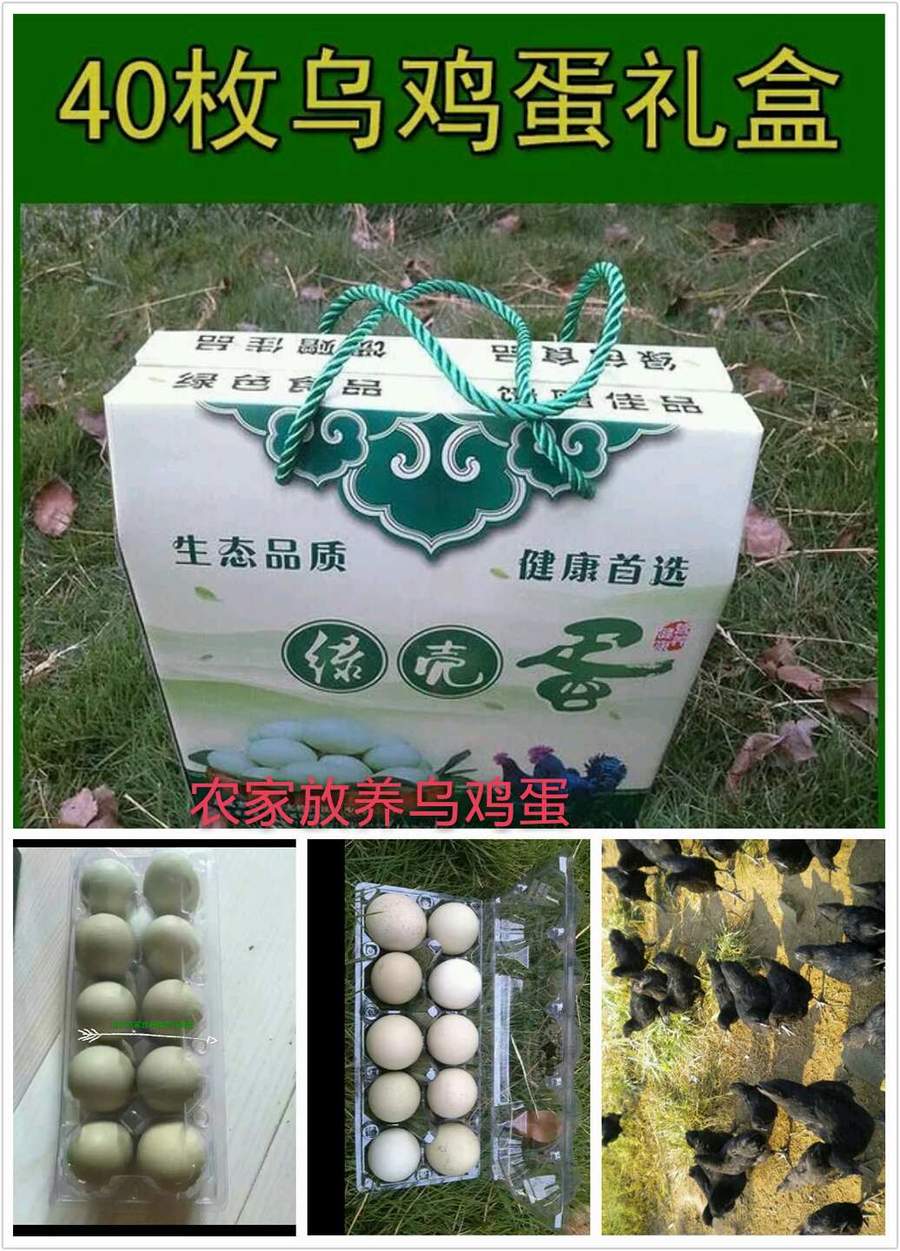 礼盒装农家放养绿壳乌鸡蛋40个装