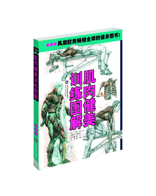 肌肉健美训练图解最新版