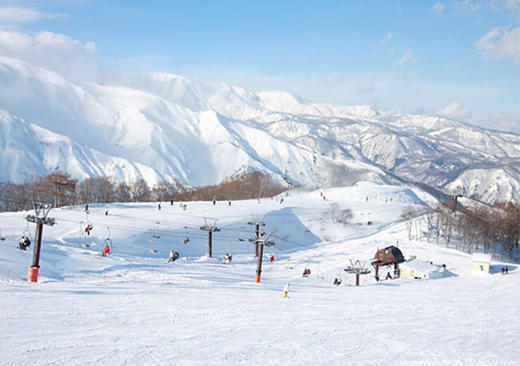 劲爆价-日本长野白马5日滑雪之旅 2016年1月7日 商品图2