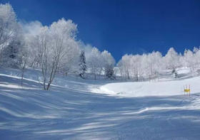 劲爆价-日本长野白马5日滑雪之旅 2016年1月7日