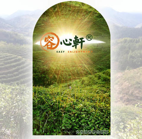 读书会 商品图0