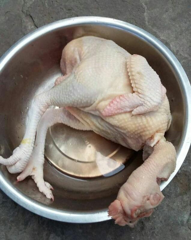 正宗农家放养鸡大公鸡新鲜活鸡现杀顺丰快递