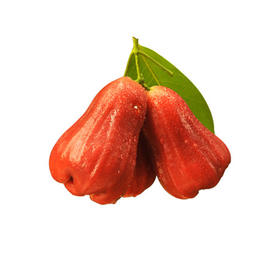 海南 · 高山甜莲雾 · 一口脆爽 · 又甜多汁 · 自带柑蔗香