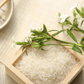 2025新米 五常大米 谷怡斋  五常有机稻香贡米5kg 