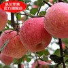 【顶端果业20枚80】陕西洛川红富士苹果水果20枚80mm中果 商品缩略图3