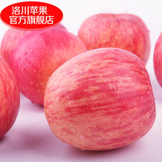 【家庭经济实惠装】陕西洛川红富士苹果新鲜水果40枚70mm13斤/产地直发 商品图1