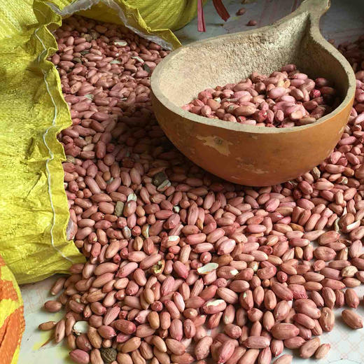 无农药古法压榨纯花生油，人工精心挑选饱满粒大的花生，香味浓郁 商品图3