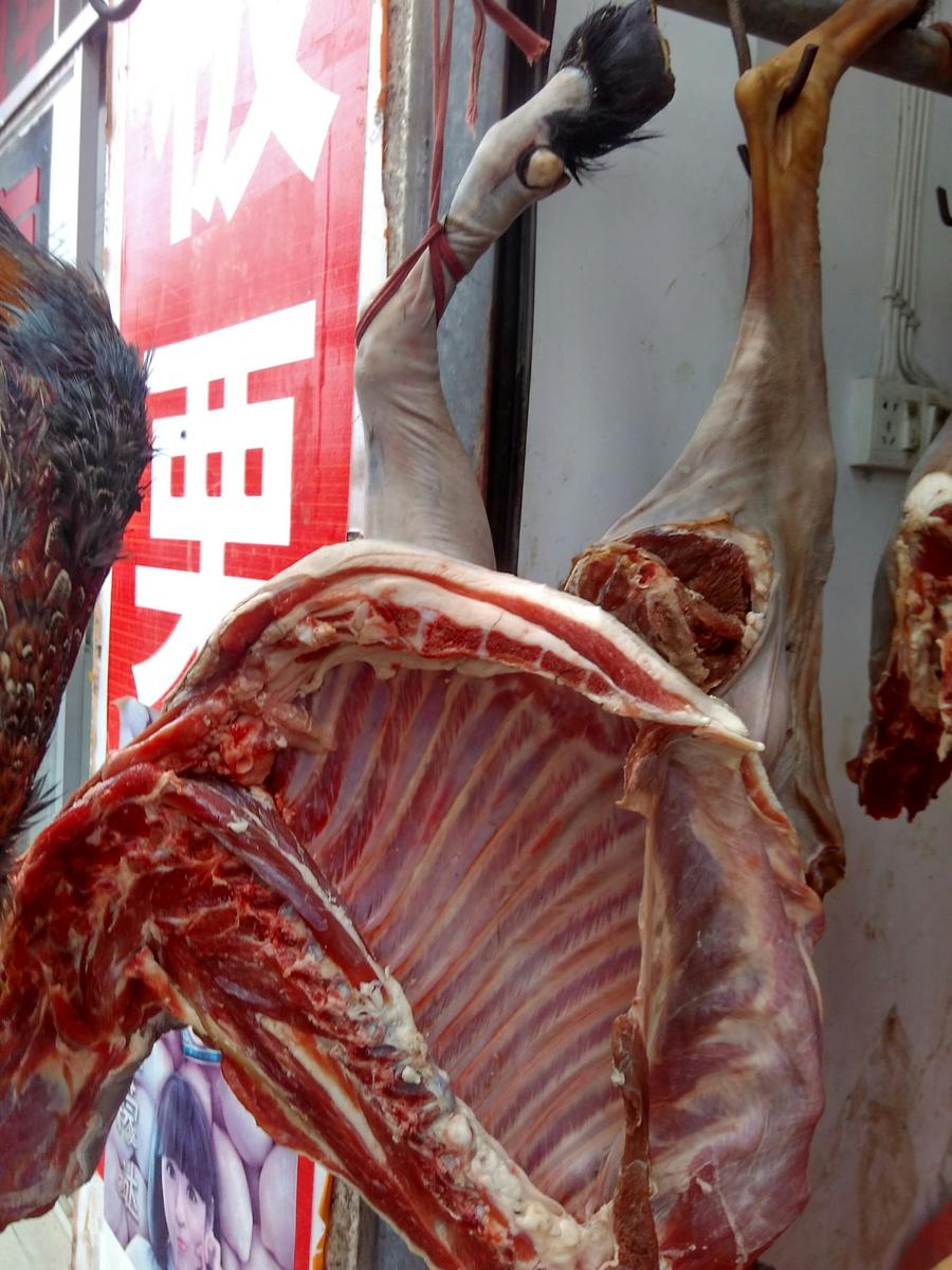 土黑山羊肉:肾虚,气血不足怕冷的克星.6斤起包邮