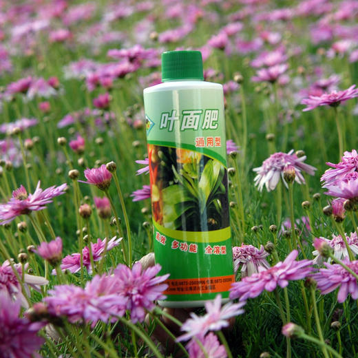 叶面肥 洱海牌叶面肥 瓶装叶面肥 圆瓶装 商品图0