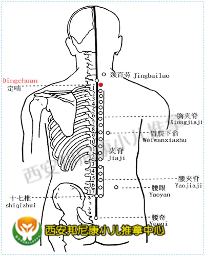 05 不得不说的 定喘穴 西安邦尼康小儿推拿