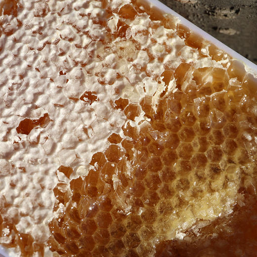 【包邮】密云山区天然巢蜜  农家野生土蜂蜜  巢蜜   250g 商品图4