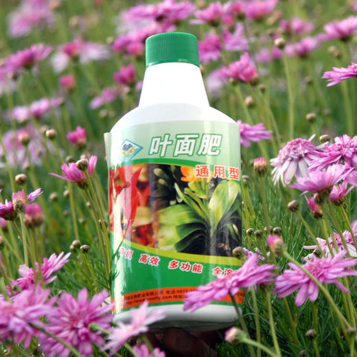 叶面肥 洱海牌叶面肥 瓶装叶面肥 扁瓶装 商品图0