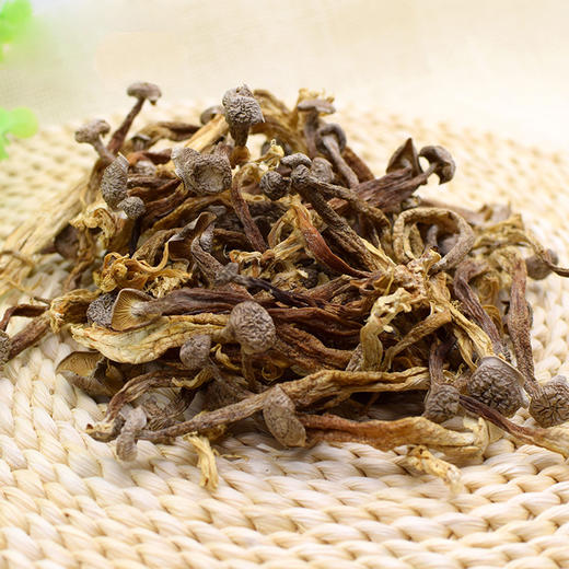 野生鹿茸菌菇4斤起订