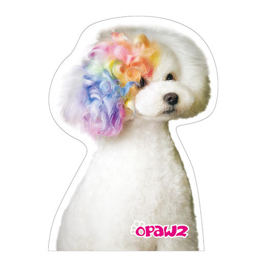 宠物玻璃贴耳朵烫发染色白贵宾 OPAWZ小爪印 商品图0