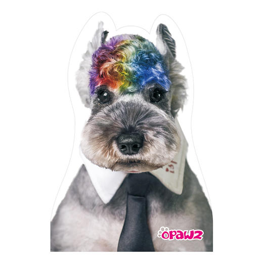 宠物玻璃贴头顶染发灰雪纳瑞 OPAWZ小爪印 商品图0