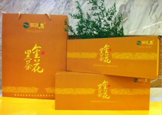 安化黑茶｜金花黑茶，净含量400g，2条一提 商品图1