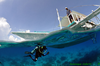【度假村】沙丁鱼的故乡——菲律宾墨宝Sea Quest Dive Center（23.6更新） 商品缩略图12