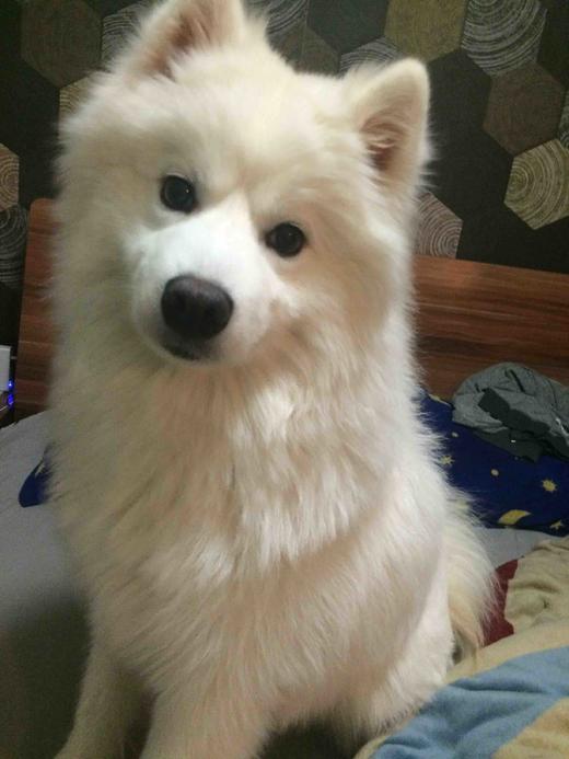 quake测试 铁臂 商品图0