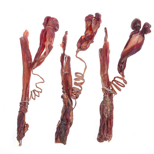 纯天然 正宗 海狗鞭 1根