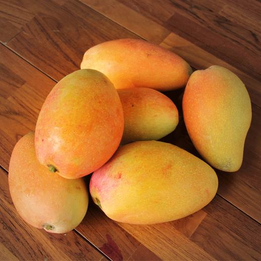 京仓发货树熟海南金龙芒果中果45斤装