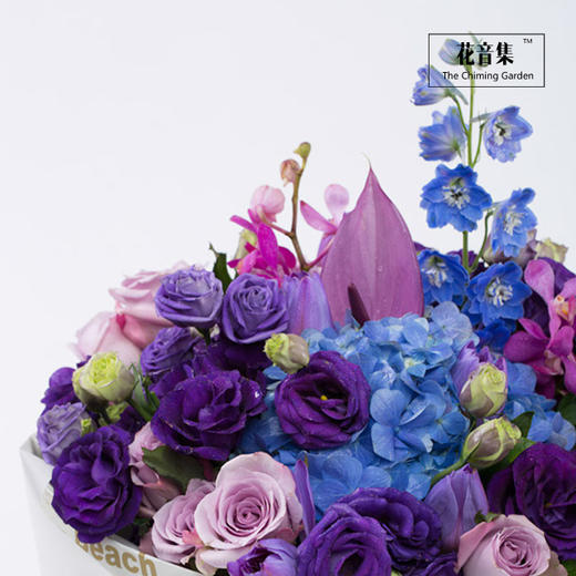 《魅惑》 商品图4