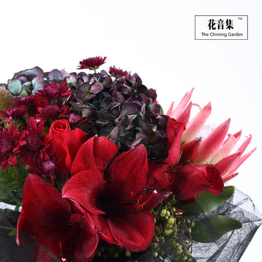 《面纱》系列之Queen 商品图3