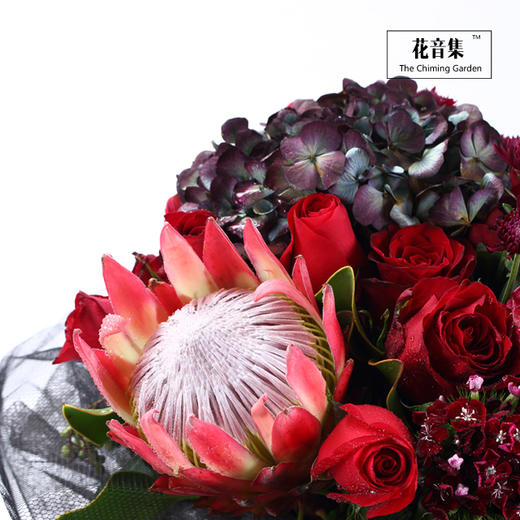 《面纱》系列之Queen 商品图1