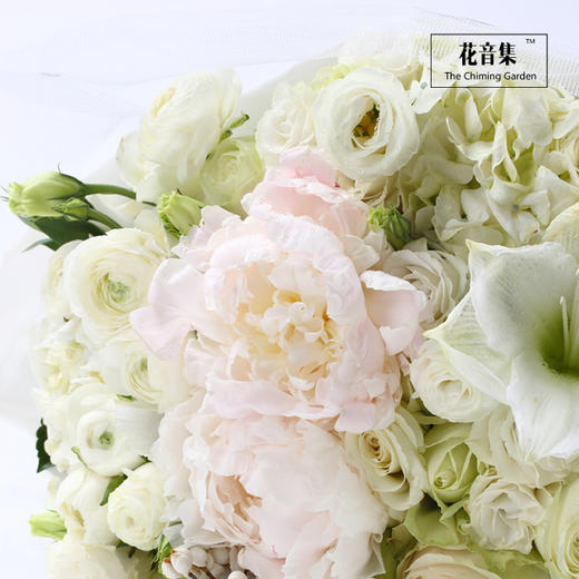 面纱系列之《闺蜜》 商品图2