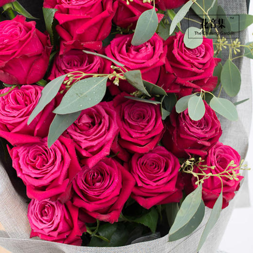 19支香格里拉玫瑰 商品图3