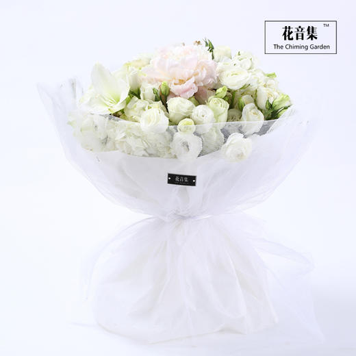 面纱系列之《闺蜜》 商品图0