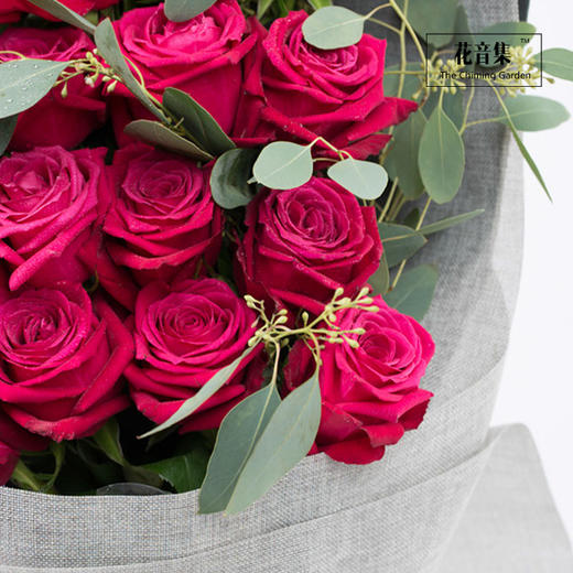 19支香格里拉玫瑰 商品图1