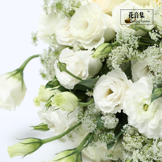 花腰新娘系列之蕾丝白White 商品图2