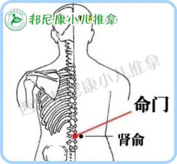 06 命门穴 宝宝的补肾要穴 西安邦尼康小儿推拿