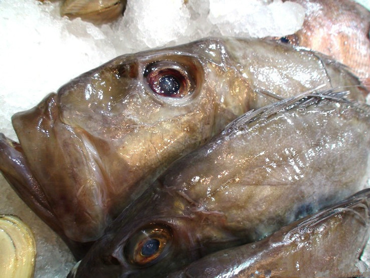 东海野生海鲂鱼线上预订线下提货做给你看推荐