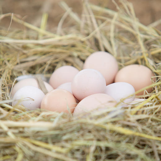 【徽园农夫】  山林散养皖南土鸡 土鸡蛋  提货卡 商品图3